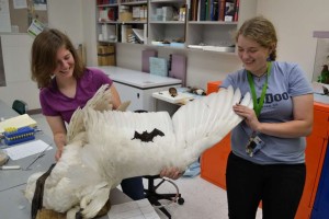 Rebecca Cheek and Jessica McLaughlin admire a large bird and a small mammal.