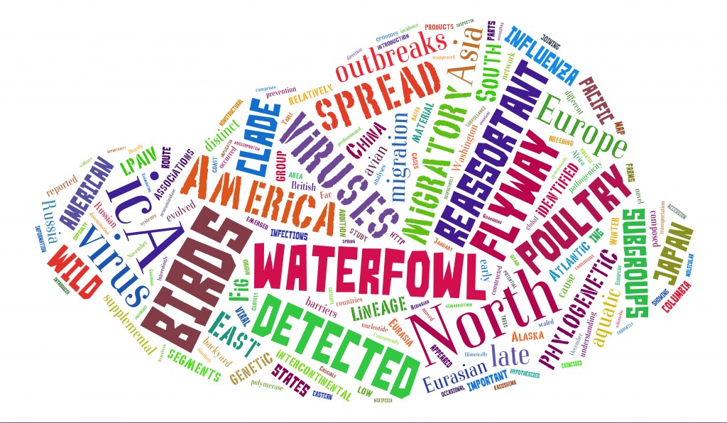 A word cloud of the paper's contents